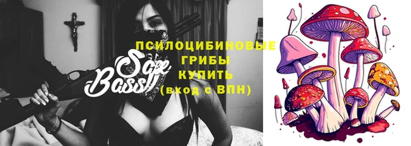 2c-b Белокуриха