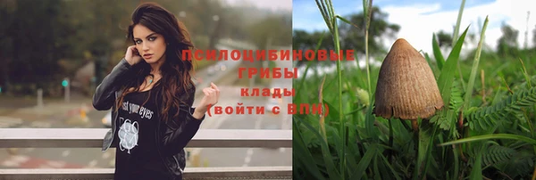 PSILOCYBIN Белоозёрский