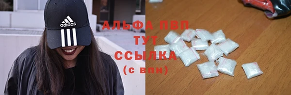 PSILOCYBIN Белоозёрский
