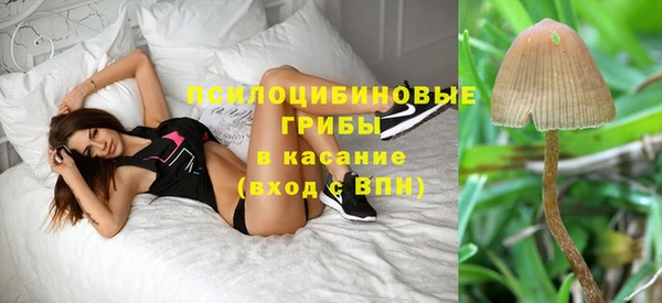 PSILOCYBIN Белоозёрский