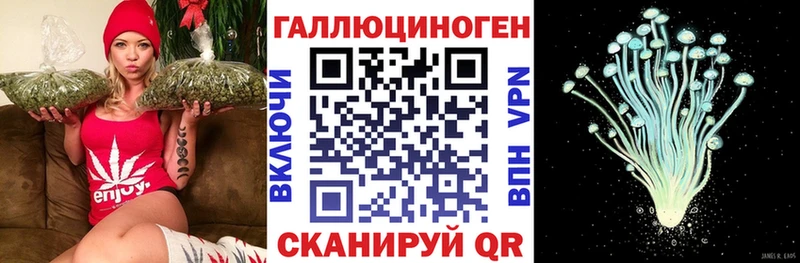 Галлюциногенные грибы Psilocybine cubensis  Купить где  Дагестанские Огни 
