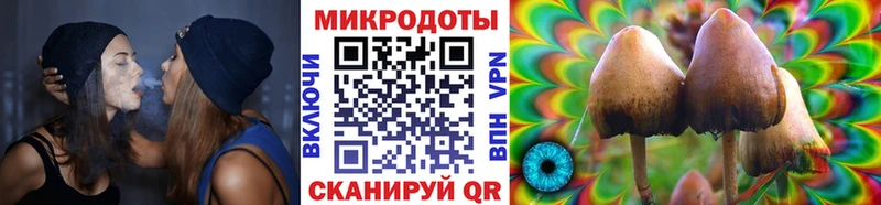 Псилоцибиновые грибы ЛСД Дагестанские Огни