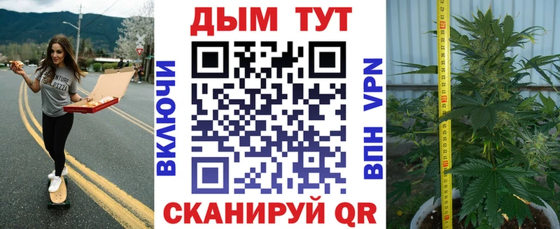 Бошки марихуана OG Kush  Купить где  Дагестанские Огни 